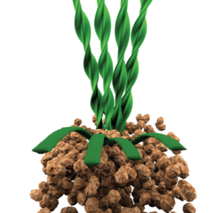 Domo Vario Slide S Pro