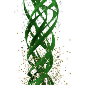 Domo Extreme MDC Ultra