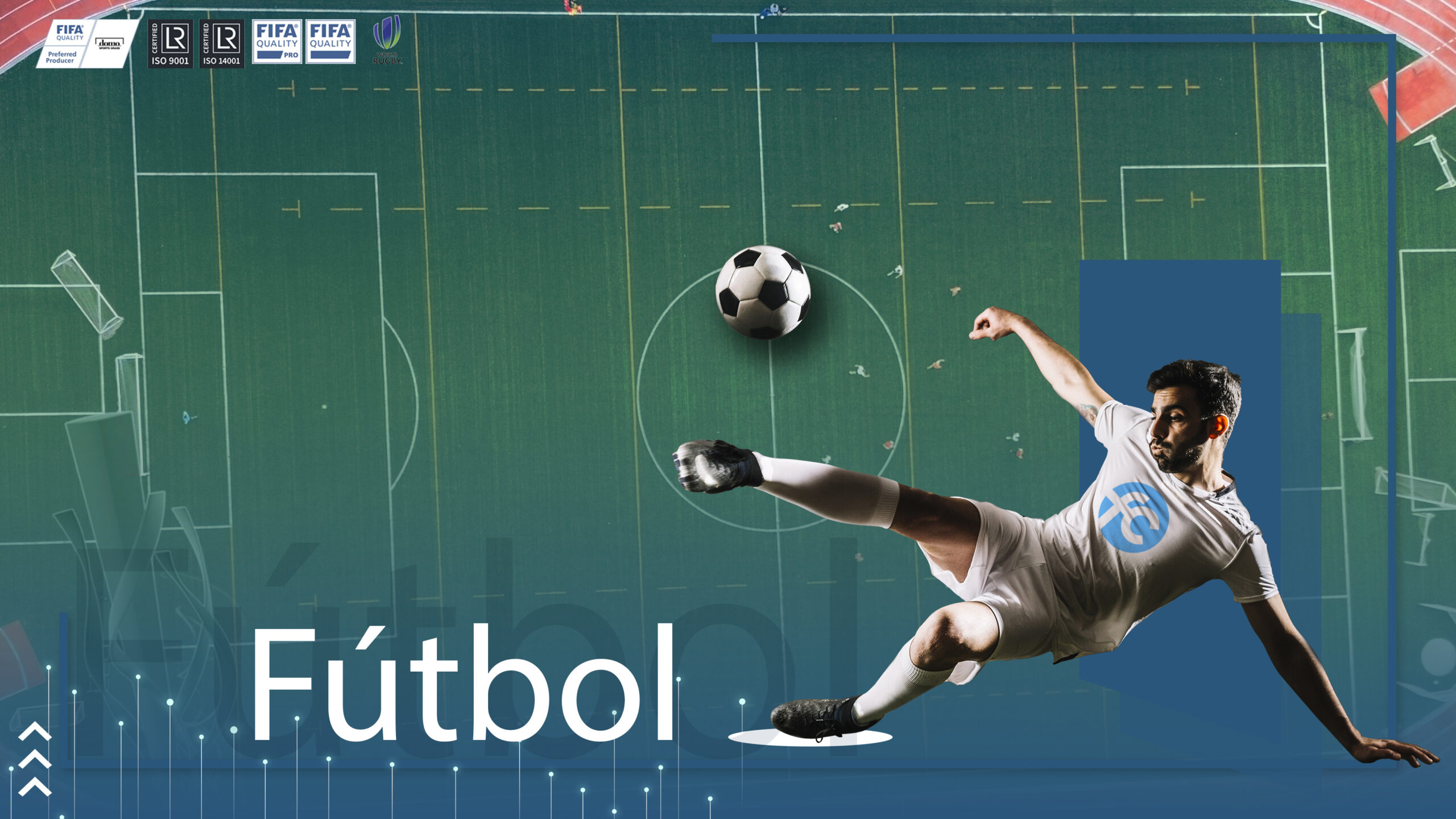 Pasto para canchas de Futbol